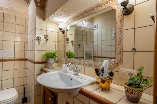 a bathroom with a sink and a mirror at DOMUS GELSOMINO in Rome