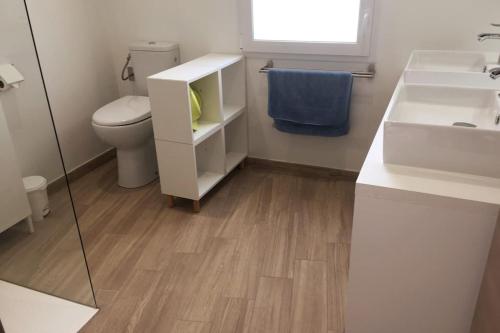 une salle de bain avec toilettes, lavabo et miroir dans l'établissement A l'ombre du Saule. Villa 10 personnes + piscine, à Saint-Romain-en-Viennois