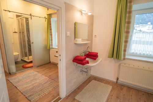 a bathroom with a sink and a mirror at Penznhof 