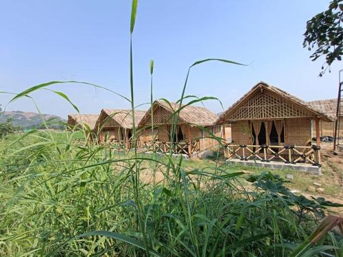 een huis in het midden van een veld bij Rasta Cafe Hmpi in Hampi