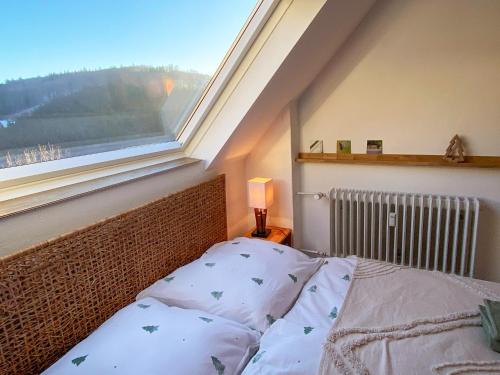 a bedroom with a bed with a window and a radiator at Naturpause Ferienwohnung in Schmallenberg