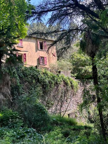 Mas cévenol bord de rivière piscine naturelle