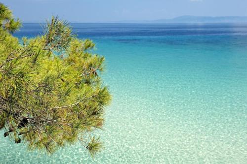 - une vue sur l'océan depuis un arbre dans l'établissement Centrum Rooms, à Kallithéa Halkidikis