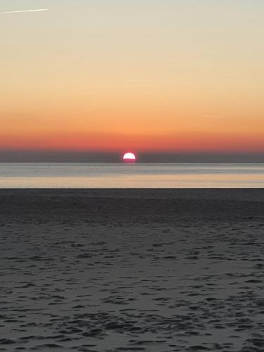 ALBATROS Appartement terrasse vue mer-internet-parking-clim