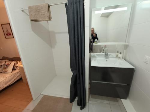 ein Bad mit einem Waschbecken und einem Spiegel in der Unterkunft DISNEY - PARIS 5 Min DE DISNEY - PK privé gratuit - 4 personnes - Terrasse jardin in Chessy