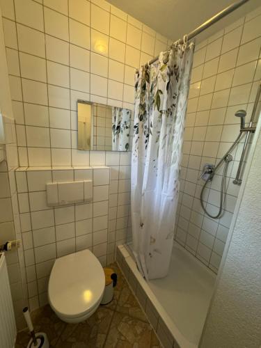 ein Bad mit einem WC und einer Dusche in der Unterkunft Ferienwohnungen Seereif im Erdgeschoss und Seeklein im Souterrain in Immenstaad am Bodensee