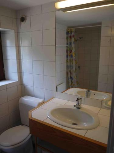 ein Badezimmer mit Waschbecken, Toilette und Spiegel in der Unterkunft Maisonnette - Centre Landerneau in Landerneau