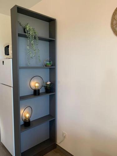 une étagère avec deux lumières et quelques plantes dans l'établissement Appartement entièrement rénové avec vue sur océan, à Biscarrosse