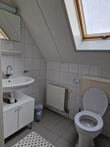 Koupelna v ubytování Recreatiepark De Tien Heugten