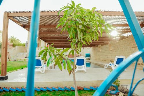 a tree in a yard with chairs and a pool at كمبوند قرية تونس in Tunis