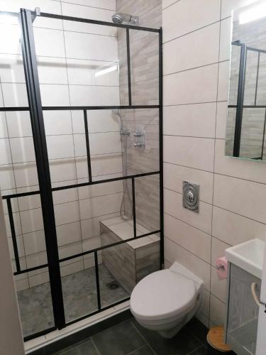 une salle de bain avec toilettes et douche en verre dans l'établissement Maison à coté de Disneyland Paris, Stade de France, Jeux Olympiques, à Claye-Souilly