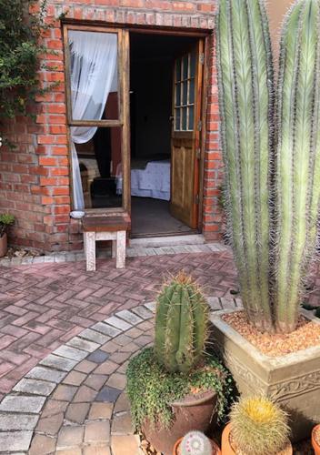 a house with cactuses in front of a door at A La Martha's Air-Port Guest House in Port Elizabeth