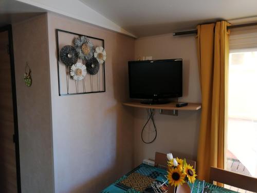 a room with a television and a window with flowers at Mobilhome 8 pers in Fréjus