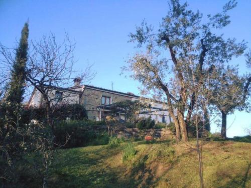 Gallery image of Agriturismo Menghino in Nievole