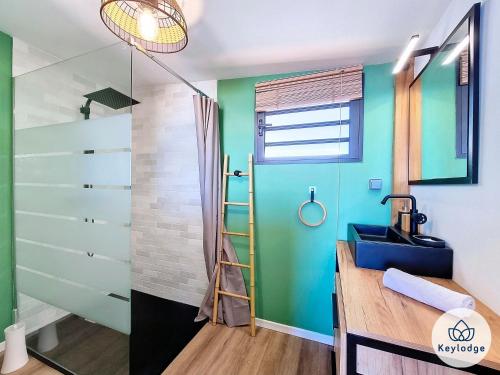 uma casa de banho com um lavatório e um chuveiro em Villa Bleu Camaïeu- 4 étoiles - avec piscine - Saint-Leu em Saint-Leu