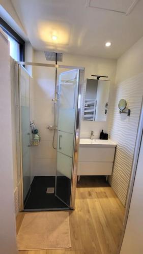 une salle de bain avec douche et lavabo dans l'établissement LOU BRISOU, à Croagnes