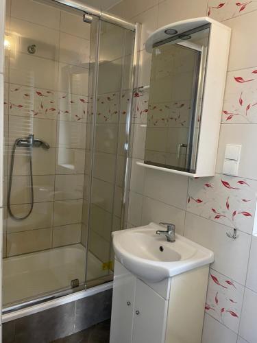 La salle de bains est pourvue d'un lavabo et d'une douche. dans l'établissement Agroturystyka u Dudków, à Jeleśnia