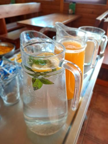 a tray with four glasses of water and a pitcher of orange juice at Penzion Diana in Kunžak