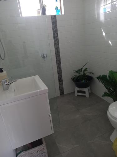 La salle de bains est pourvue d'un lavabo, de toilettes et d'une plante. dans l'établissement Twin share room, à Grantville