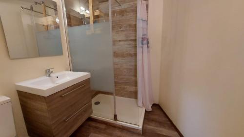 a bathroom with a sink and a shower at Studio cosy au cœur d'Honfleur in Honfleur