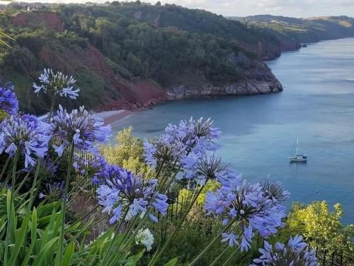 a view of a body of water with blue flowers at Coastal Retreat, Torquay - Anstey Cottage in Torquay