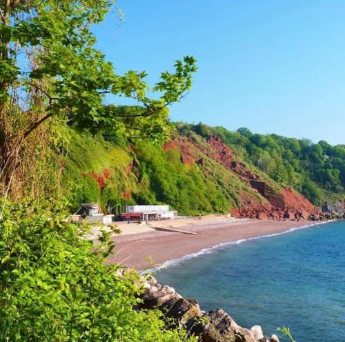 a view of a beach with trees and the ocean at Coastal Retreat, Torquay - Anstey Cottage in Torquay