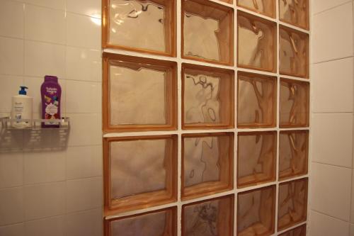 a glass block wall in a shower in a bathroom at Apartamento Corazón de Triana in Seville