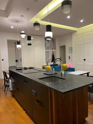 une cuisine avec un évier et un plan de travail dans l'établissement Stunning apartment in the center of Lyon !, à Lyon