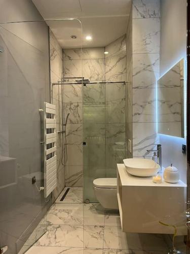 y baño con ducha, aseo y lavamanos. en Stunning apartment in the center of Lyon !, en Lyon