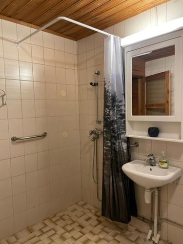 a bathroom with a shower and a sink at Tiitun Tupa Ivalo in Ivalo