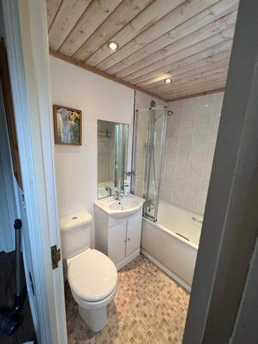 a bathroom with a toilet and a sink and a tub at Throstles Nest in Troutbeck Bridge