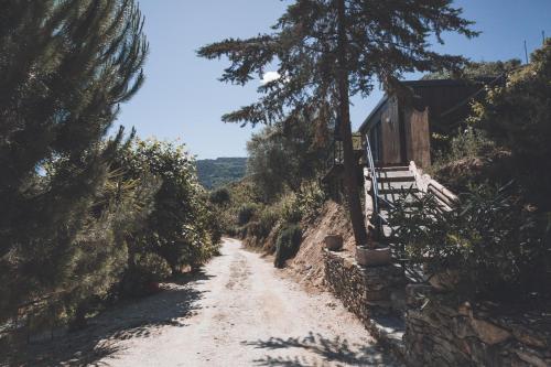 a dirt road with a tree and a building at Quinta da Portela Douro in Armamar