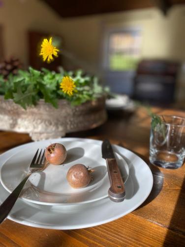 a white plate with two apples and a knife and fork at Casale del Passatore sas in Rocchette