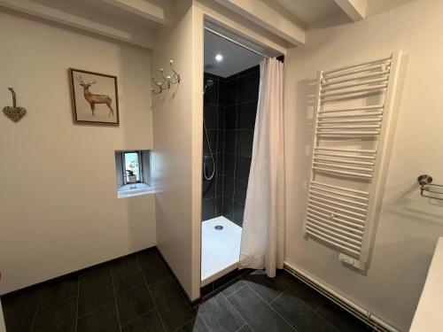 a bathroom with a shower with a shower curtain at Le Pressoir de Cheverny~Château~Golf~ in Cheverny