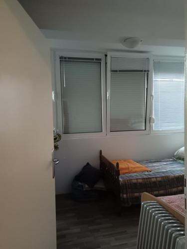een slaapkamer met een bed en 2 ramen bij Đurđina Apartment in Budva