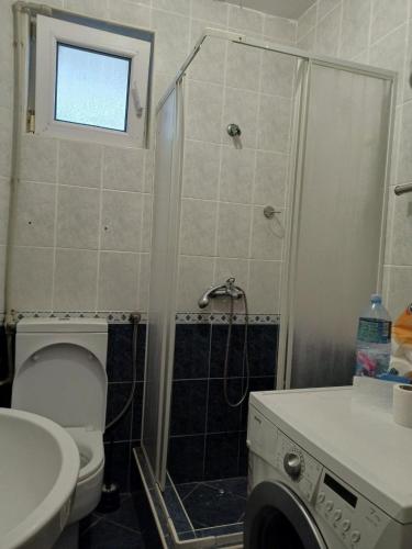 een badkamer met een douche, een toilet en een wastafel bij Đurđina Apartment in Budva