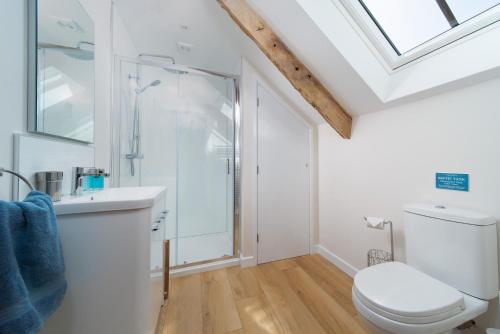 a bathroom with a shower and a toilet and a sink at The Old Piggery in Stoke Rivers
