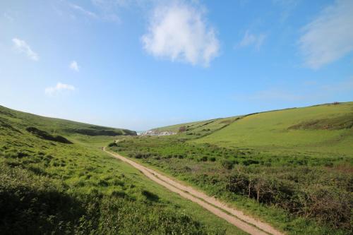 a dirt road in the middle of a green field at Talland Croft in Crantock