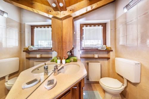 baño con lavabo, aseo y ventanas en Villa Pais 3 cime View en Auronzo di Cadore