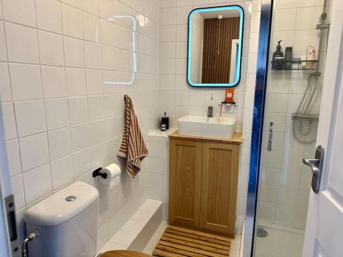 uma casa de banho com um WC, um lavatório e um espelho. em Designer 2 bedroom flat with office em Londres