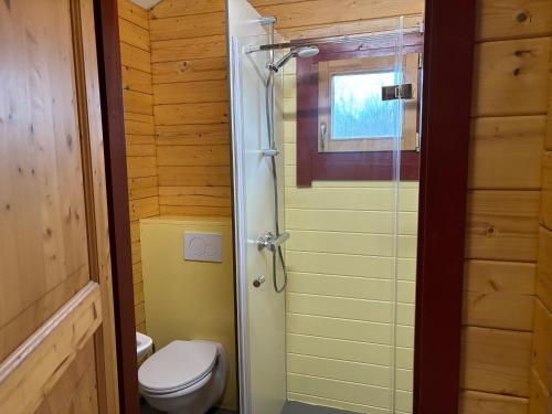 a bathroom with a toilet and a glass shower at Vakantiehuisjes Robersum in Vierhuizen