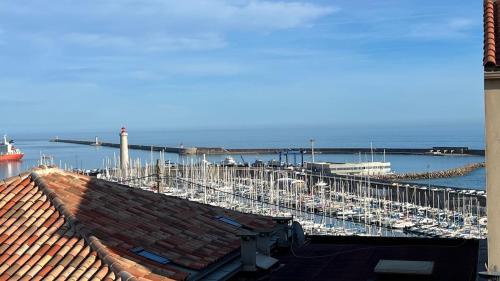 une vue d'une marina avec des bateaux dans l'eau dans l'établissement Appartement pêcheur, à Sète