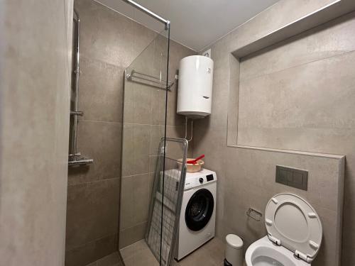 a bathroom with a toilet and a washing machine at Vila Drina Apartments in Banja Koviljača