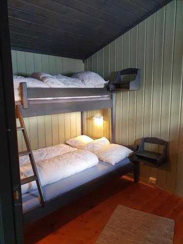 - 2 lits superposés dans un dortoir avec une échelle dans l'établissement Bjørgebu Camping AS, à Mysusæter
