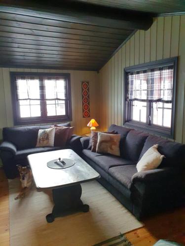 - un salon avec un canapé et une table dans l'établissement Bjørgebu Camping AS, à Mysusæter