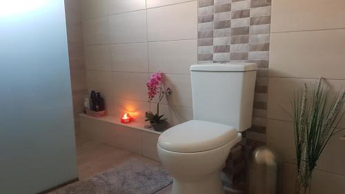 a bathroom with a toilet with a candle and a plant at Bei Kostas in Mesopótamon