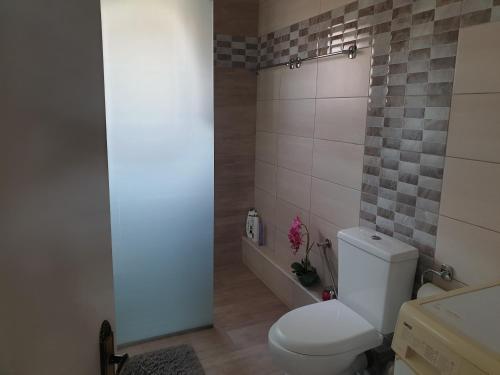 ein Badezimmer mit einem weißen WC und einer Dusche in der Unterkunft Bei Kostas in Mesopótamon