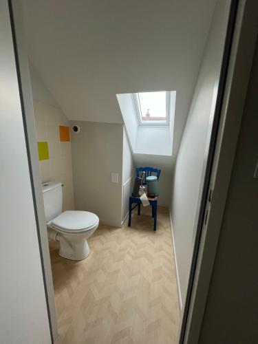 une salle de bains mansardée avec toilettes et fenêtre. dans l'établissement Gite des laitières en bourgogne, à Saint-Clément-sur-Guye