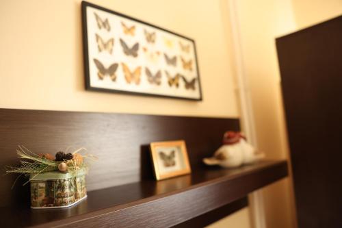 a wooden shelf with a plant in a jar on it at Studio Jasna in Novi Sad