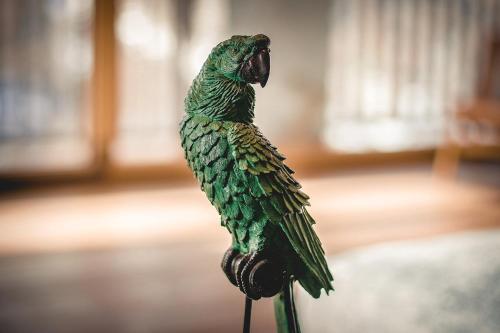 a green parrot sitting on top of a pole at Chalet Snostorm in Crépin